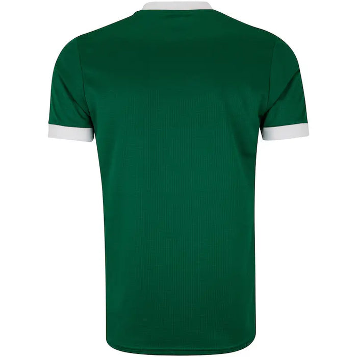 Manto Palmeiras 2025 - versão torcedor Raccoonstore
